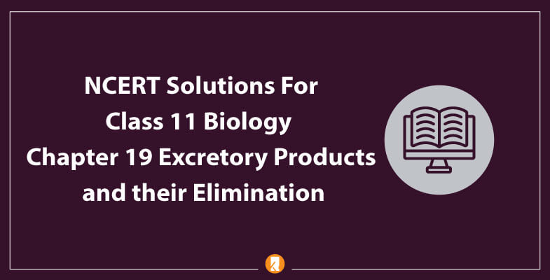 NCERT-Solutions-For-Class-11-Biology-Chapter-19-Excretory-Products-and-their-Elimination