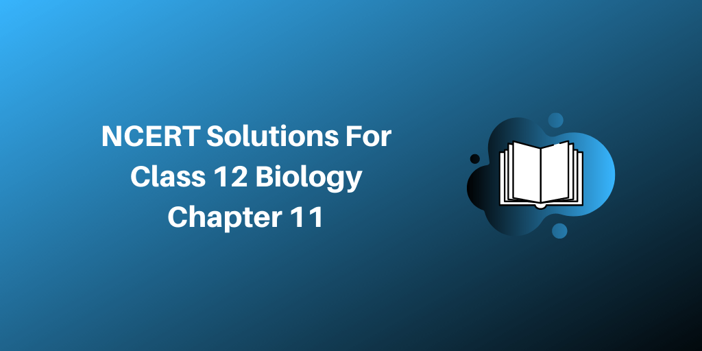 NCERT Solutions For Class 12 Biology Chapter 11 Biotechnology