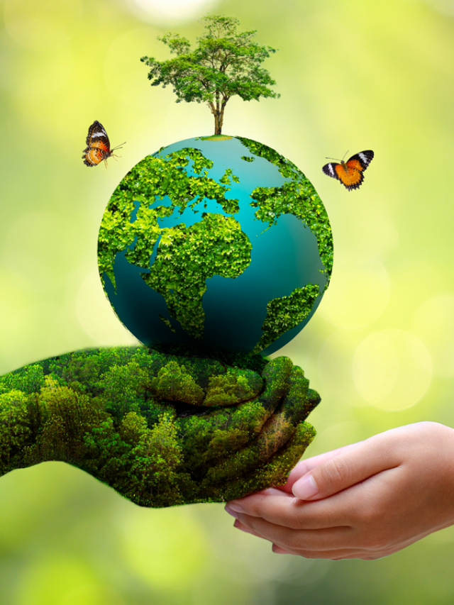 7 Things To Know About World Environment Day