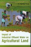 Impact of Industrial Effluent Water on Agricultural Land
