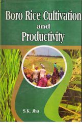 Boro Rice Cultivation and Productivity Boro Rice Cultivation and Productivity