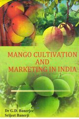 Mango Cultivation And Marketing in India Mango Cultivation And Marketing in India