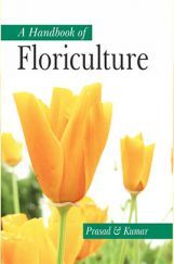 A Handbook Of Floriculture A Handbook Of Floriculture