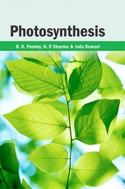 Photosynthesis