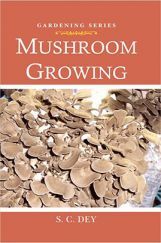 Mushroom Growing Mushroom Growing