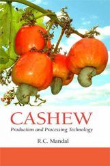 Cashew : Production and Processing Technology Cashew : Production and Processing Technology