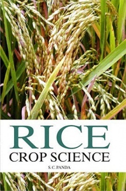 Rice Crop Science