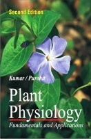 Plant Physiology Fundamentals and Applications Plant Physiology Fundamentals and Applications
