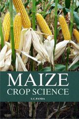 Maize Crop Science Maize Crop Science
