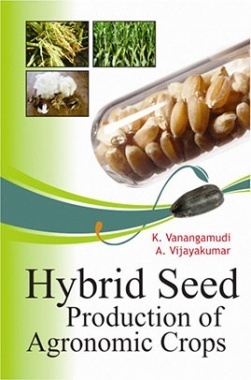 Hybrid Seed Production of Agronomic Crops
