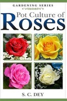 Pot Culture of Roses Pot Culture of Roses