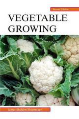 Vegetable Growing Vegetable Growing