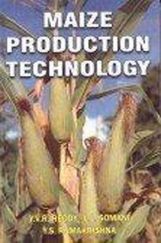 Maize Production Technology Maize Production Technology
