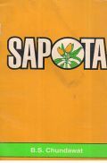 Sapota Sapota