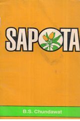 Sapota Sapota