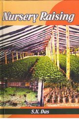 Nursery Raising Nursery Raising