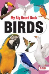 My Big Board Book Birds