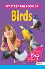 My First Big Book Of Birds