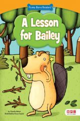 FBR: A Lesson For Bailey