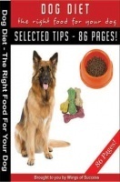 Dog Diet – The Right Food For Your Dog Dog Diet – The Right Food For Your Dog