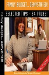 Family Budget - Demystified!