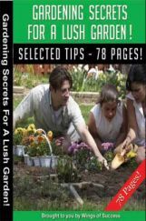 Gardening Secrets For A Lush Garden!