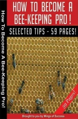 How To Become A Bee-Keeping Pro!