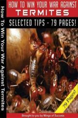 How To Win Your War Against Termites How To Win Your War Against Termites