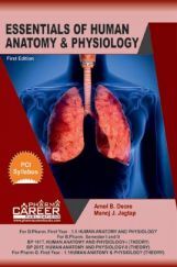 Essentials Of Human Anatomy & Physiology Essentials Of Human Anatomy & Physiology
