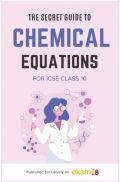 Exam18 The Secret Guide To Writing Chemical Equations In ICSE Class10 Chemistry