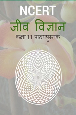 Free Download Ncert Class 11 Jeev Vigyan Textbook Pdf Online 2020