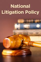 National Litigation Policy National Litigation Policy