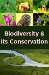Biodiversity And Its Conservation Biodiversity And Its Conservation