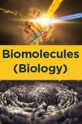 Biomolecules (Biology) Biomolecules (Biology)