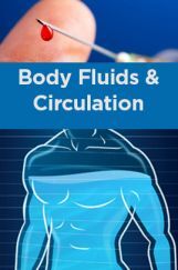 Body Fluids And Circulation Body Fluids And Circulation