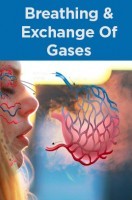 Breathing And Exchange Of Gases Breathing And Exchange Of Gases