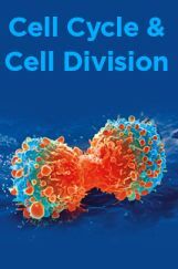 Cell Cycle And Cell Division Cell Cycle And Cell Division