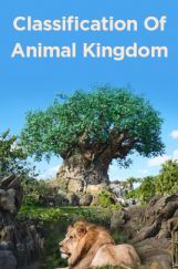 Classification Of Animal Kingdom Classification Of Animal Kingdom