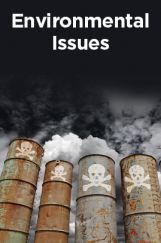 Environmental Issues Environmental Issues