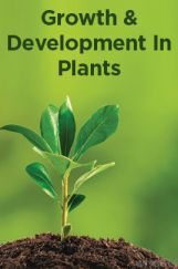 Growth And Development In Plants Growth And Development In Plants