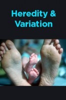 Heredity And Variation Heredity And Variation