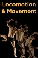 Locomotion And Movement Locomotion And Movement