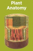 Plant Anatomy Plant Anatomy