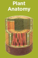 Plant Anatomy Plant Anatomy