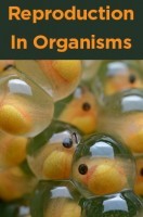 Reproduction In Organisms Reproduction In Organisms