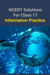 NCERT Solutions For Class 11 Information Practice NCERT Solutions For Class 11 Information Practice