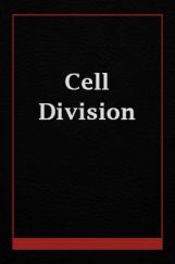 cell Division cell Division