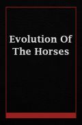 Evolution Of The Horses Evolution Of The Horses