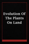 Evolution Of The Plants On Land Evolution Of The Plants On Land