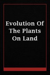 Evolution Of The Plants On Land Evolution Of The Plants On Land